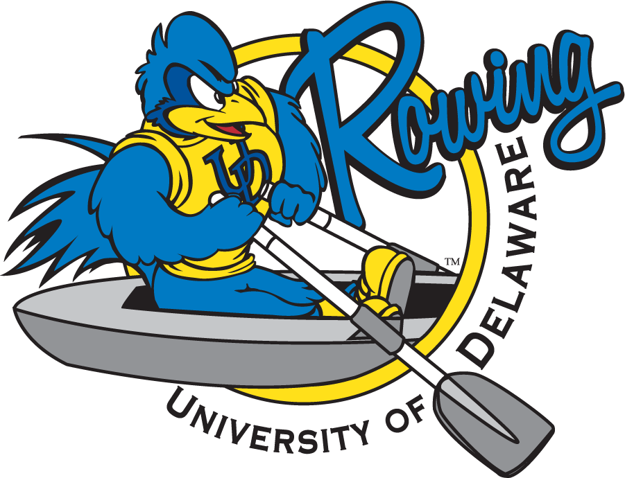 Delaware Blue Hens 1999-2009 Mascot Logo v4 diy iron on heat transfer